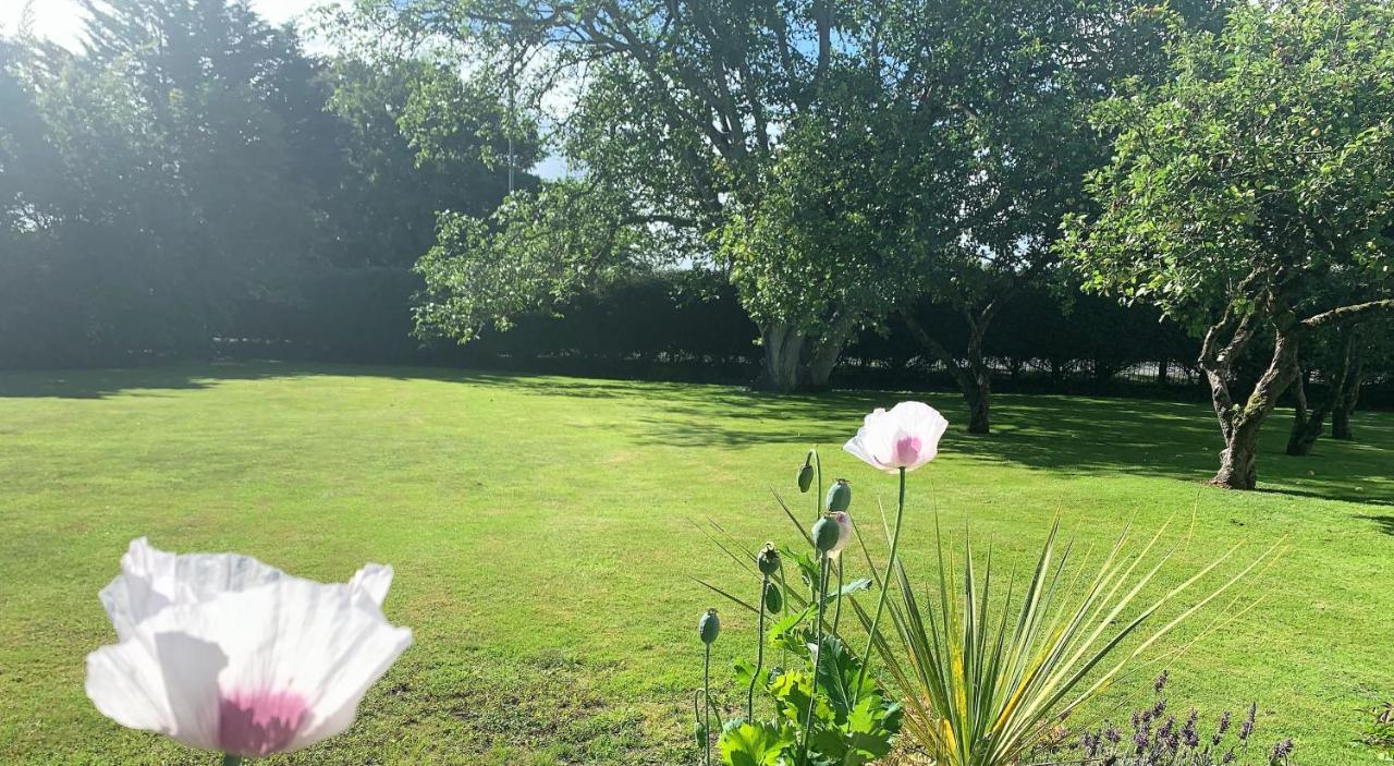 Bed and Breakfast Hope Orchard Cheltenham Esterno foto