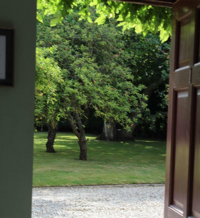 Bed and Breakfast Hope Orchard Cheltenham Esterno foto