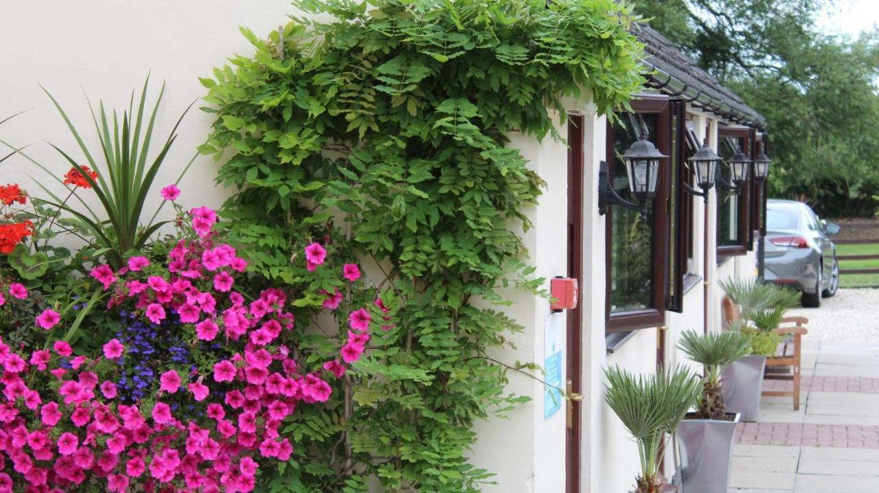 Bed and Breakfast Hope Orchard Cheltenham Esterno foto